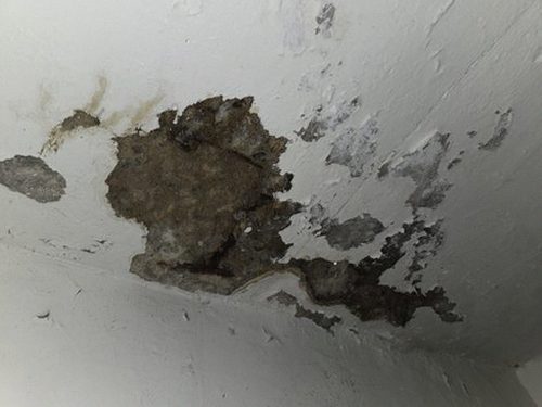 부산 북구 누수탐지 덕천동 누수탐지 아래층욕실물샘 원인을 3단계로 좁히는 방법
